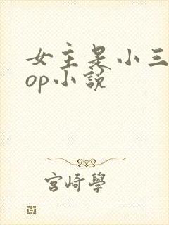 女主是小三的pop小说