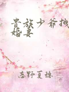 贵族少爷拽拽未婚妻