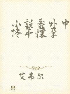 小说番外中结局佟年怀孕