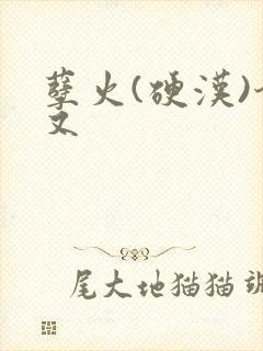 孽火(硬汉)今又