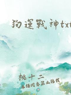 狗运战神txt