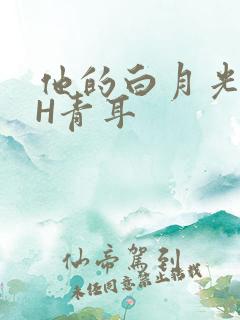 他的白月光HVH青耳