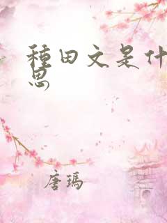 种田文是什么意思