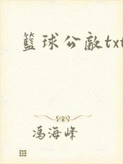 篮球公敌txt