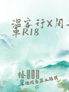 温客行X周子舒车R18