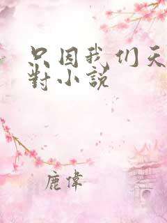 只因我们天生一对小说