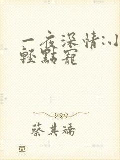 一夜深情:小叔轻点宠