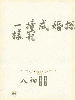 一撞成婚总裁花样宠