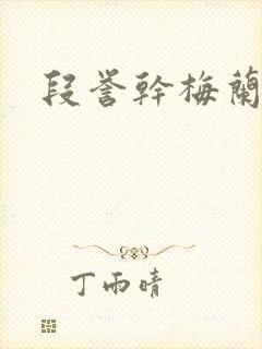 段誉干梅兰竹菊