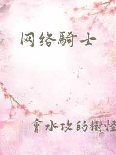 网络骑士