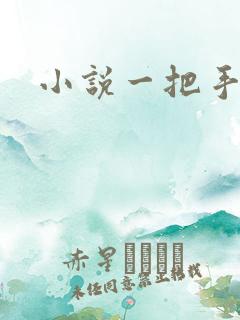 小说一把手