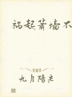 祸起萧墙不知戢