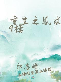 重生之凤求凰19楼