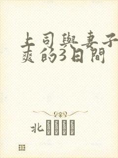 上司与妻子干到爽的3日间