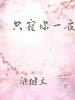 只宠你一夜