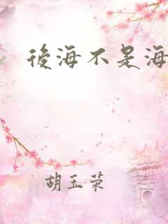 后海不是海小说