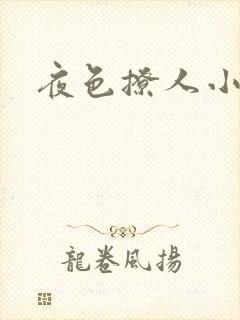 夜色撩人小说