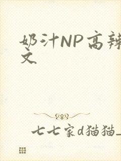 奶汁NP高辣H文