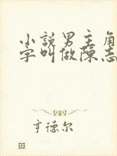 小说男主角的名字叫做陈志远