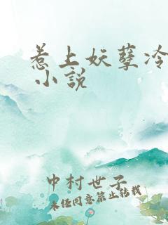 惹上妖孽冷殿下 小说