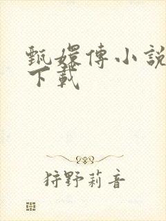 甄嬛传小说全集下载