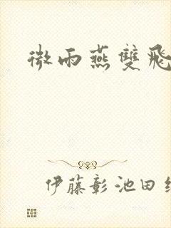 微雨燕双飞小说