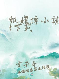 甄嬛传小说txt下载