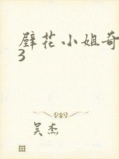 壁花小姐奇遇记3