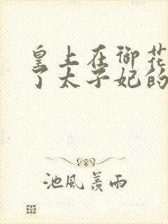 皇上在御花园c了太子妃的网剧