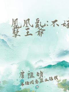 凤凰乱:不嫁妖孽王爷