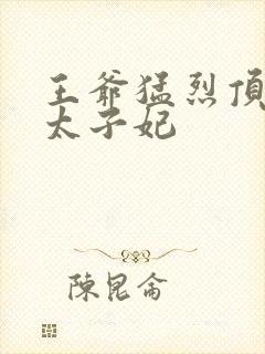 王爷猛烈顶弄H太子妃