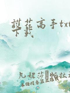 护花高手txt下载