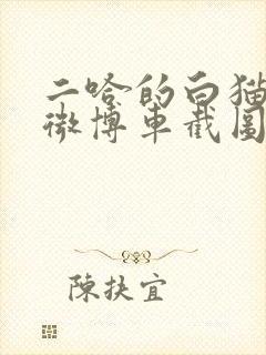 二哈的白猫师尊微博车截图