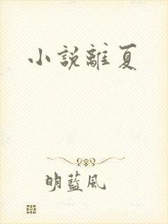 小说离夏