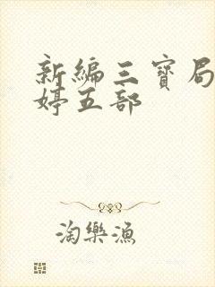 新编三宝局长许婷五部