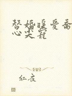 替婚暖爱乔少的心尖宠