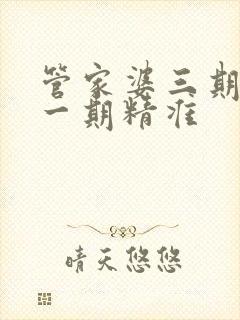 管家婆三期必开一期精准