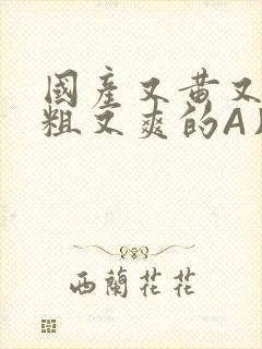 国产又黄又猛又粗又爽的A片小说