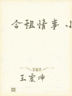 合租情事 小说