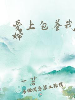 爱上包养我的情妇