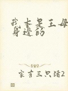 我本是王母娘娘身边的