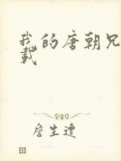 我的唐朝兄弟下载