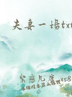 夫妻一场txt