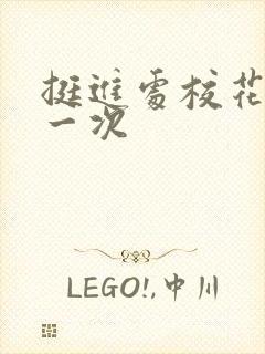 挺进处校花的第一次