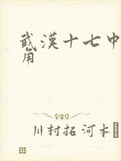 武汉十七中女主角