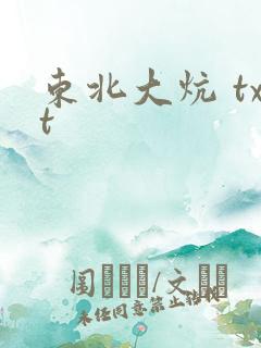 东北大炕 txt