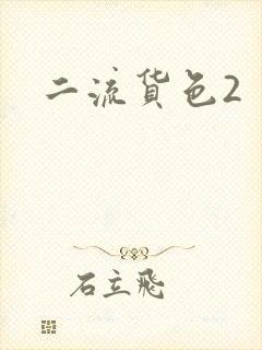 二流货色2