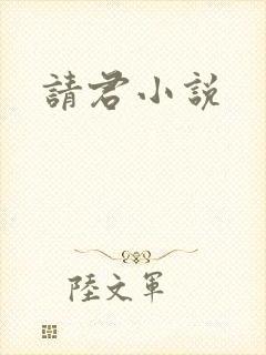 请君小说