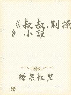 《叔叔,别撩我》小说