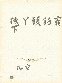 拽丫头的霸道殿下